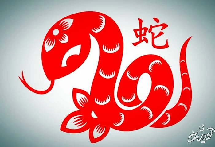 طالع بینی چینی سال مار  سال مار